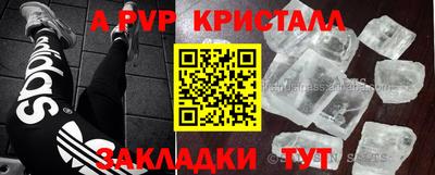 прущие грибы Балашиха