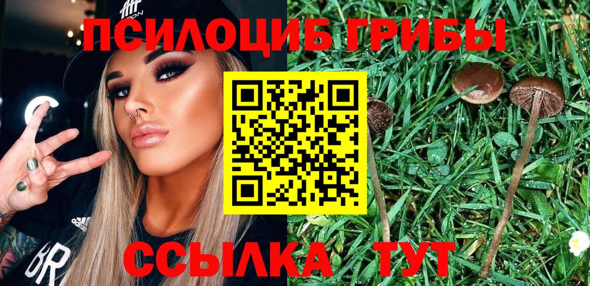 Псилоцибиновые грибы ЛСД  Вход с VPN  Губкин 