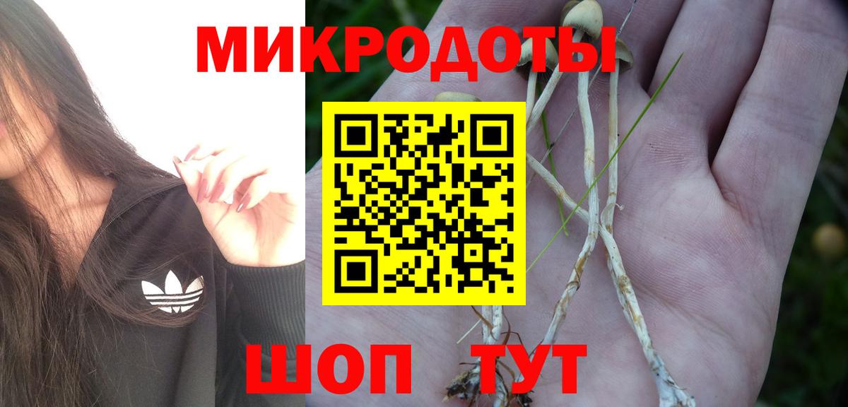 Галлюциногенные грибы Magic Shrooms Губкин